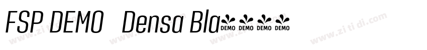 FSP DEMO   Densa Bla字体转换